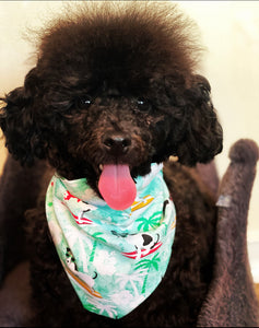 Dog Bandanas