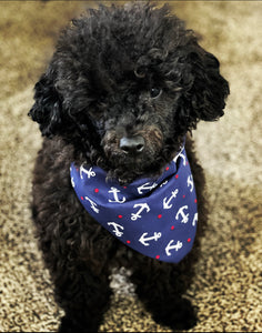 Dog Bandanas